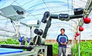 盤點農用智能機器人:機器人鋤草效率增60倍-科教臺-中國網絡電視臺