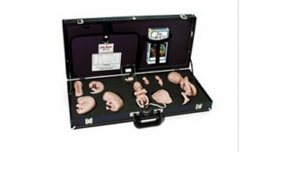 WA15715U 胚胎發育示教教程(模型、音像帶)-胚胎發育-WA15715U -上海亨隆科教設備